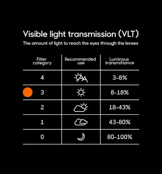 Glasögon>Everest Outdoor Eagle Summit BLACK/GOLD