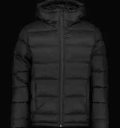 Varma Jackor|Dunjackor><noscript><img width=